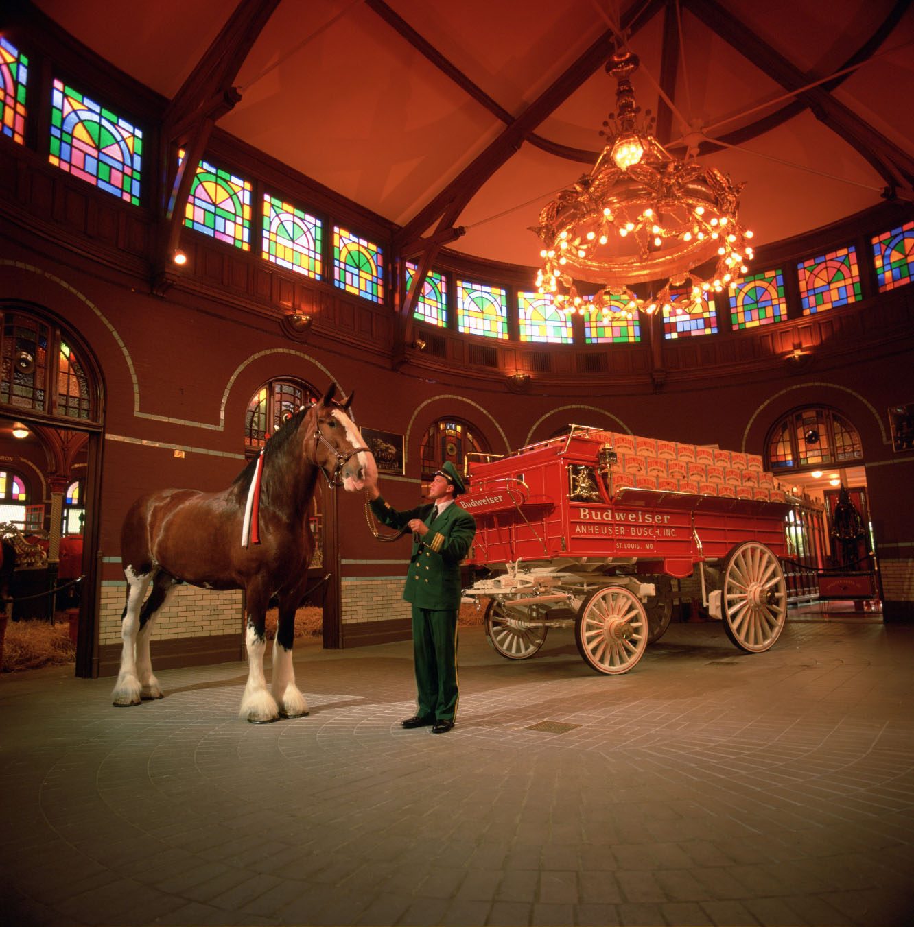 A visitor beside a Clydesdale and wagon in a historic brewery hall